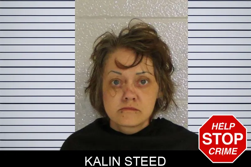 Kalin Steed mugshot – Carroll County , Georgia Kalin Steed mugshot