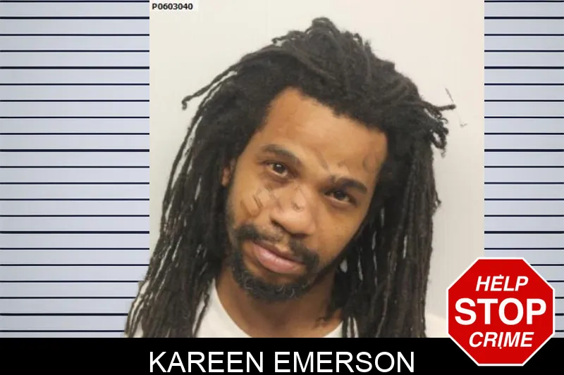 Kareen Emerson Mugshots