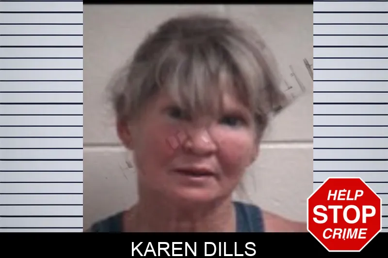 Karen Dills Mugshots