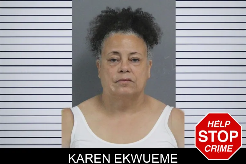 Karen Ekwueme Mugshots