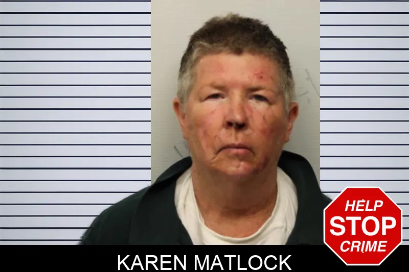 Karen Matlock mugshot
