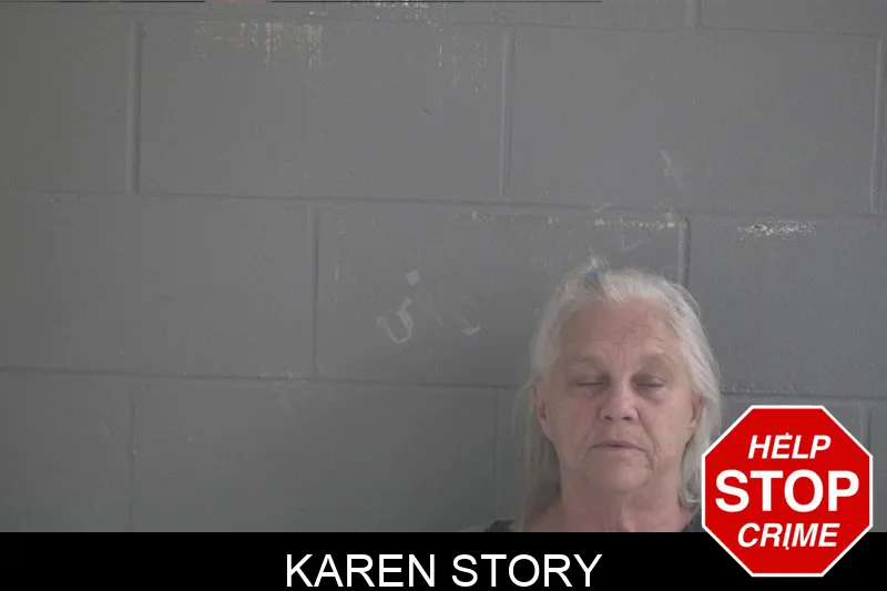 Karen Story Mugshots