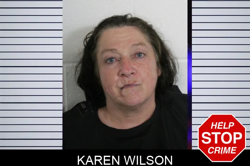 Karen Wilson Mugshots
