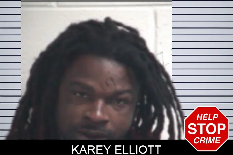 Karey Elliott Mugshots