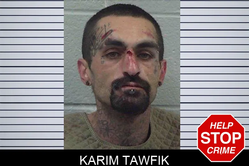 Karim Tawfik mugshot