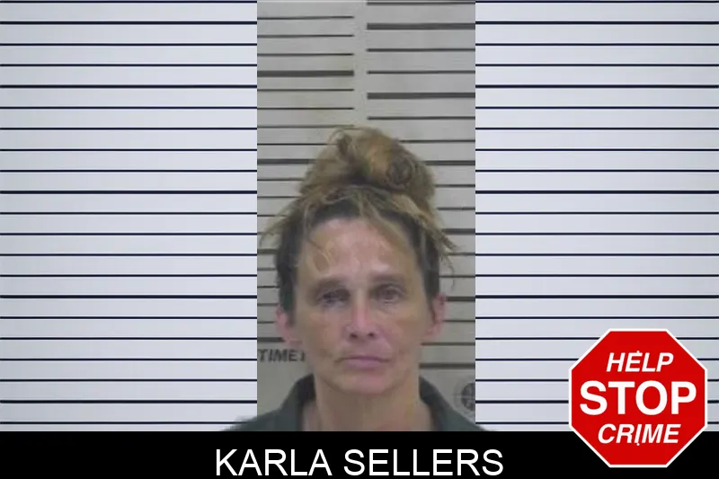 Karla Sellers Mugshots