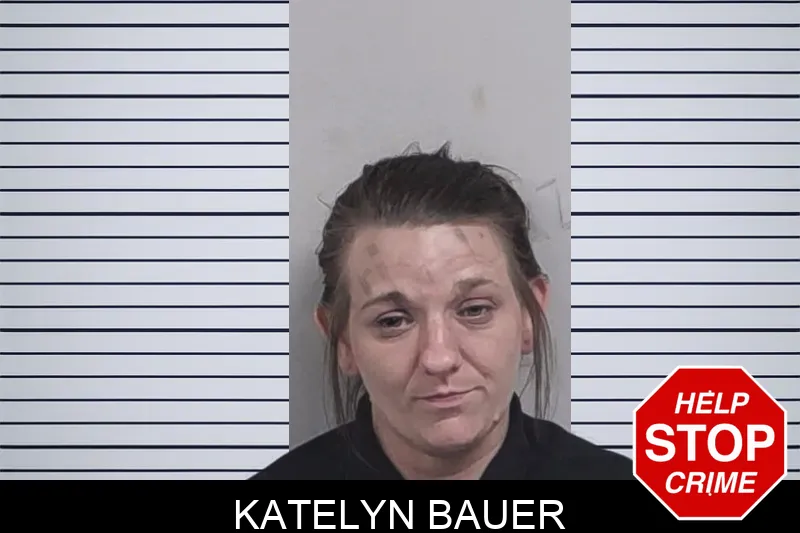 Katelyn Bauer Mugshots