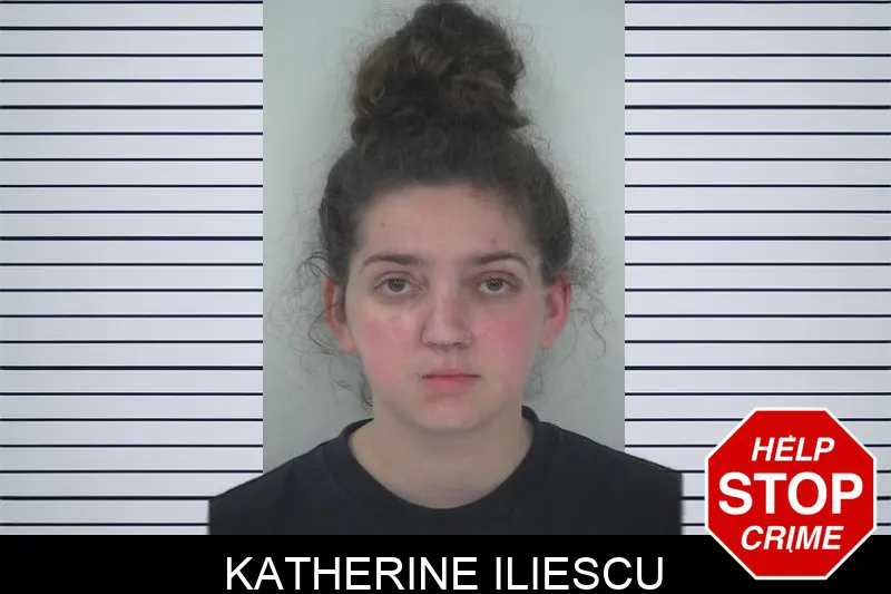 Katherine Iliescu Mugshots