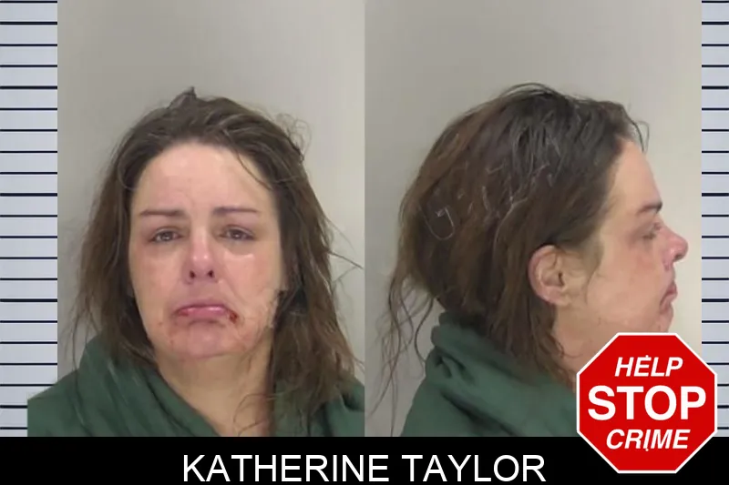 Katherine Taylor Mugshots