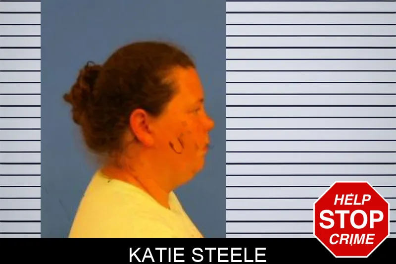 Katie Steele Mugshots