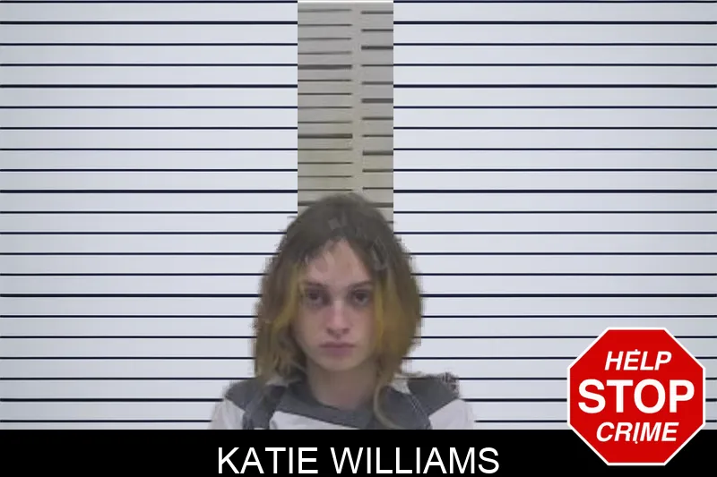 Katie Williams mugshot