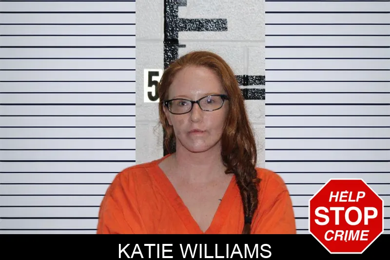 Katie Williams Mugshots