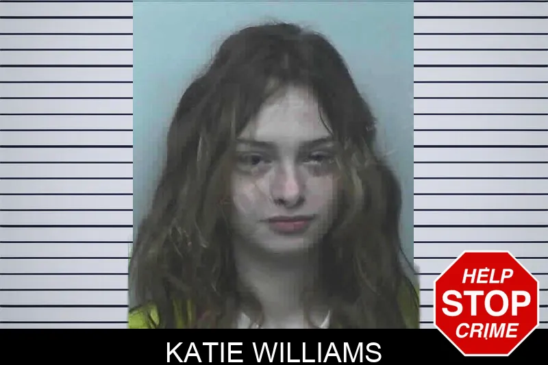 Katie Williams Mugshots