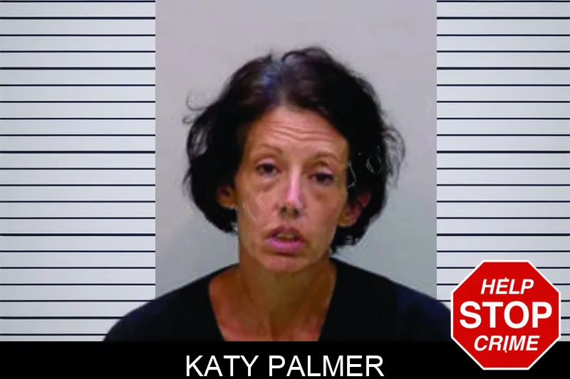 Katy Palmer Mugshots