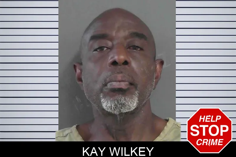 Kay Wilkey Mugshots