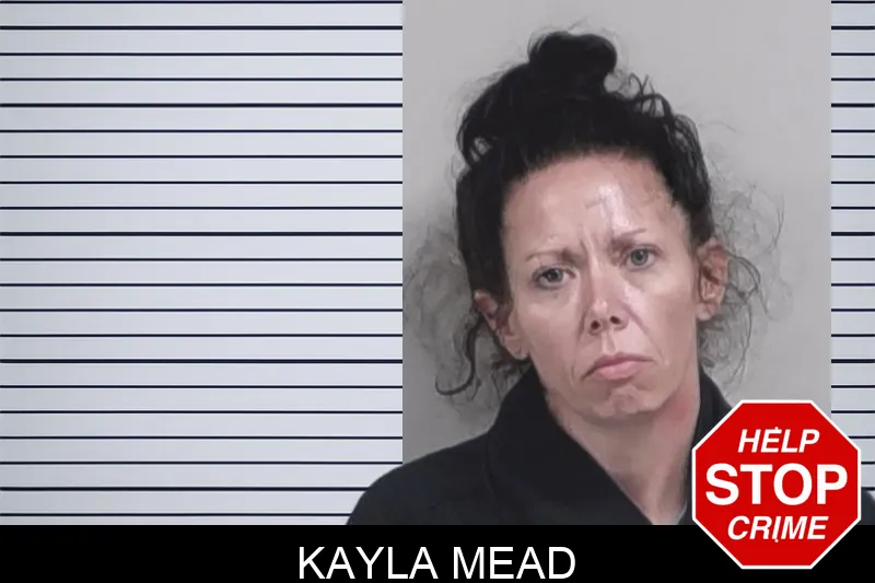 Kayla Mead Mugshots