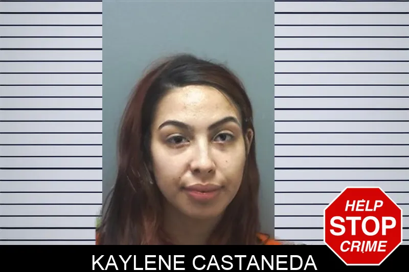 Kaylene Castaneda mugshot – Cherokee County , Georgia Kaylene Castaneda mugshot