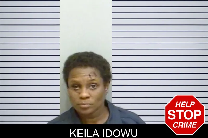 Keila Idowu Mugshots