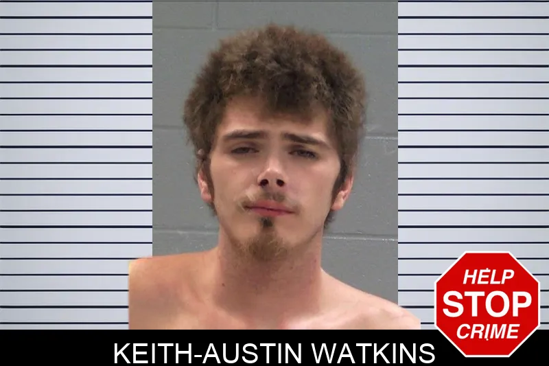 Keith-Austin Watkins Mugshots