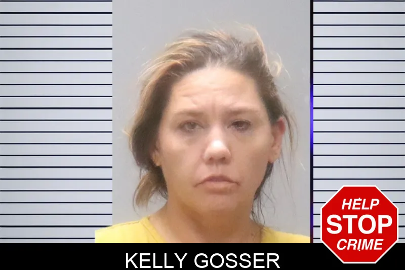 Kelly Gosser Mugshots