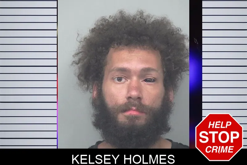 Kelsey Holmes Mugshots