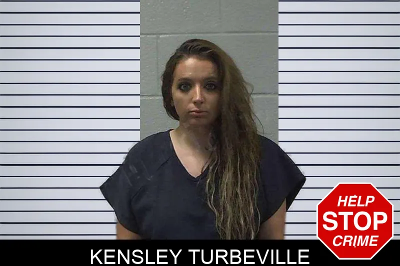 Kensley Turbeville mugshot – Gilmer County , Georgia Kensley Turbeville mugshot
