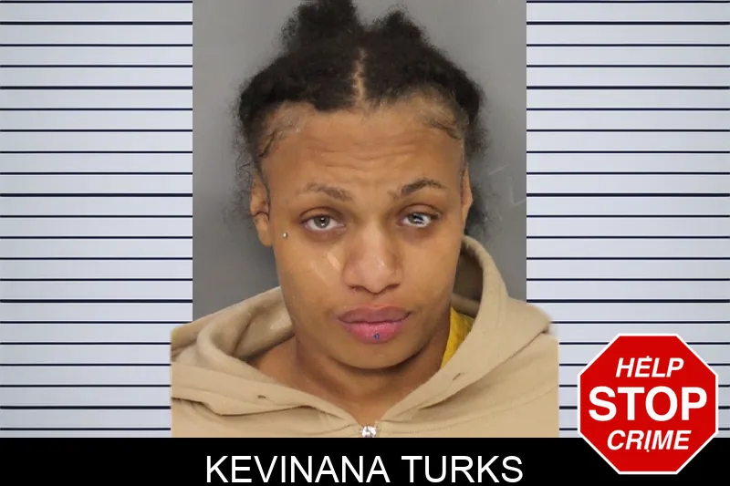 Kevinana Turks mugshot – Cobb County , Georgia Kevinana Turks mugshot