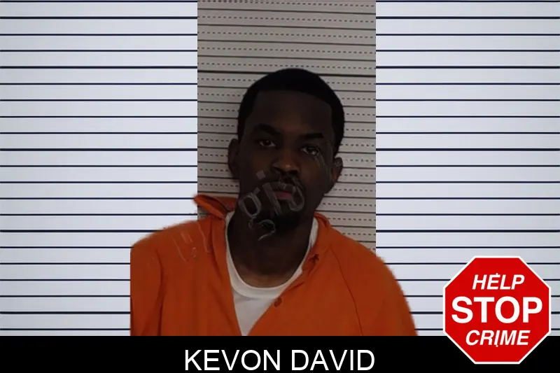 Kevon David Mugshots