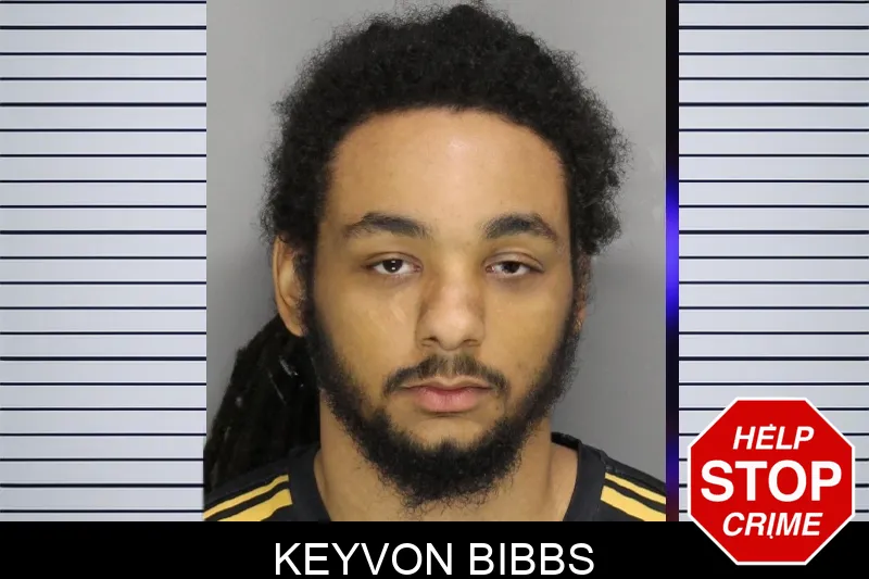Keyvon Bibbs mugshot – Cobb County , Georgia Keyvon Bibbs mugshot