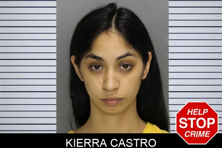 Kierra Castro mugshot – Cobb County , Georgia Kierra Castro