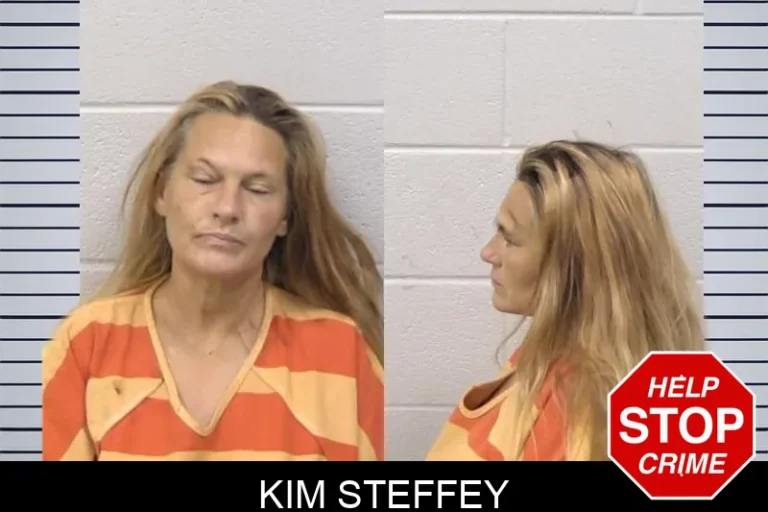 Kim Steffey mugshot – Paulding County , Georgia Kim Steffey