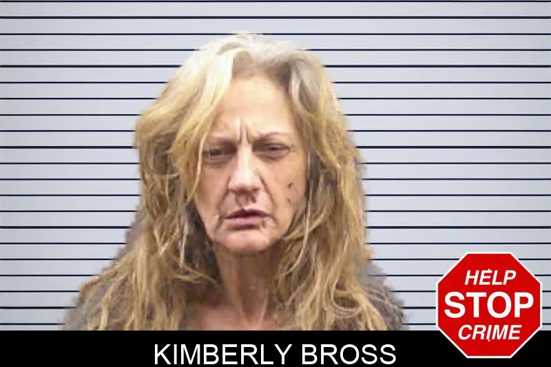 Kimberly Bross Mugshots