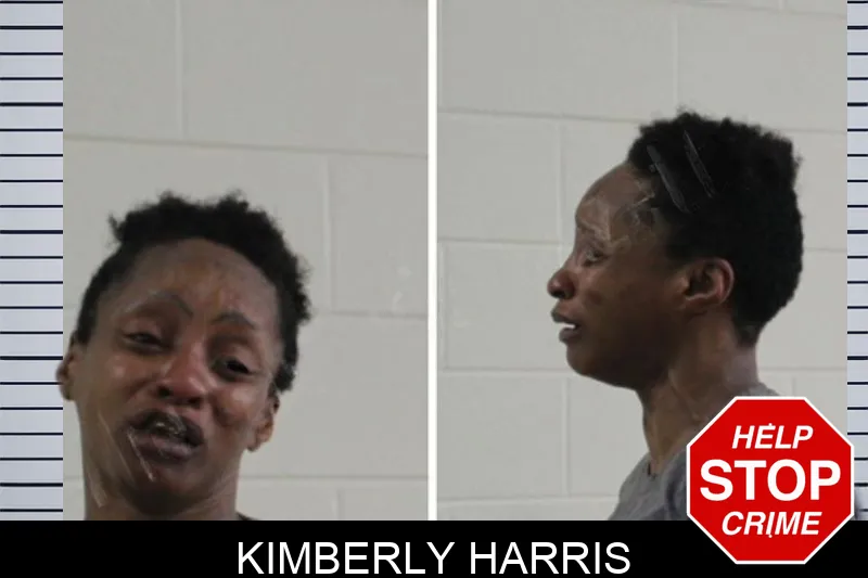 Kimberly Harris mugshot – Houston County , Georgia Kimberly Harris mugshot