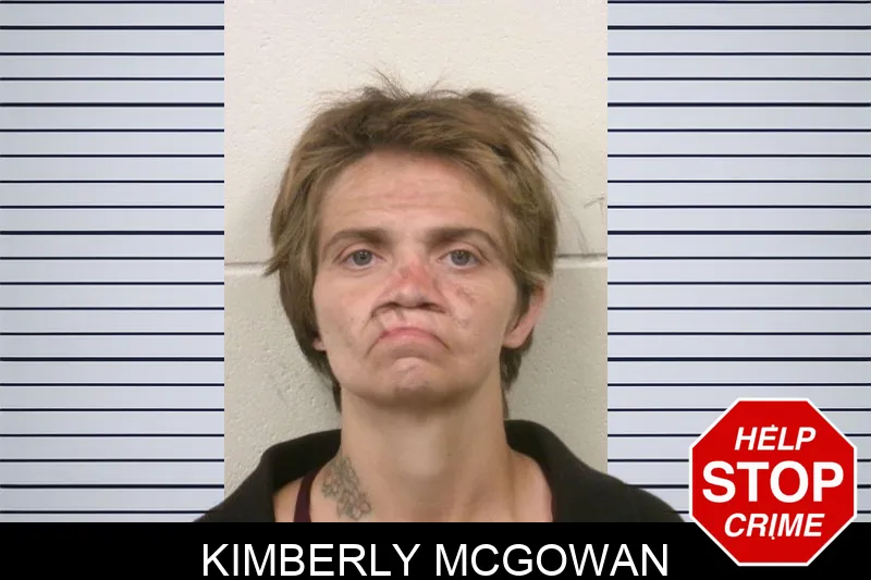 Kimberly McGowan mugshot