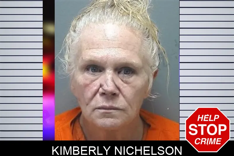 Kimberly Nichelson Mugshots