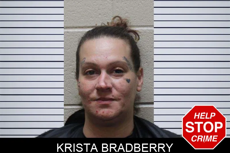 Krista Bradberry Mugshots
