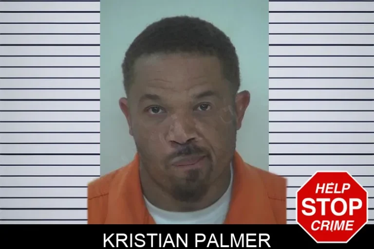 Kristian Palmer mugshot – Fayette County , Georgia Kristian Palmer