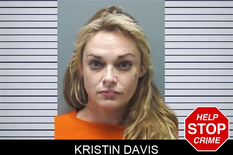 Kristin Davis mugshot – Cherokee County , Georgia Kristin Davis mugshot