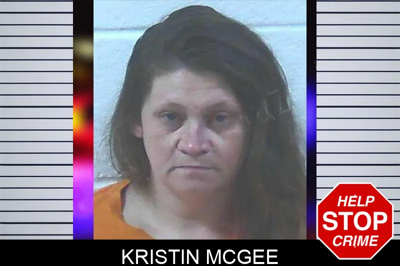 Kristin McGee Mugshots