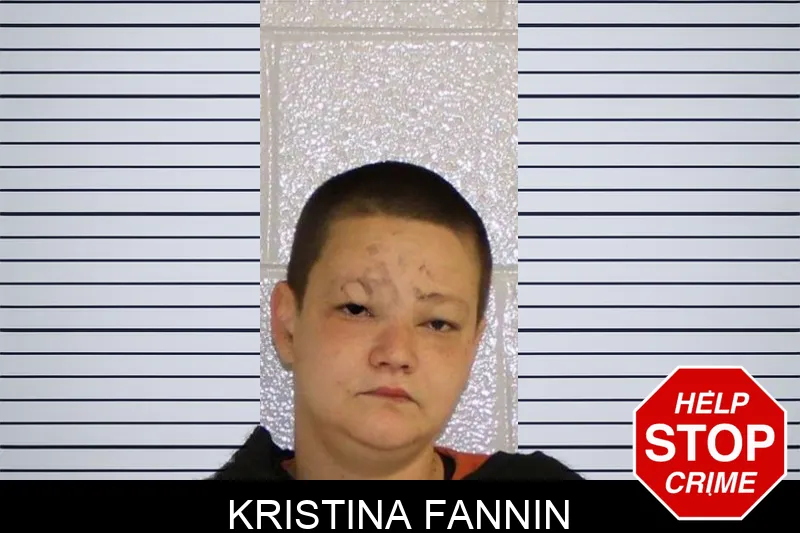 Kristina Fannin Mugshots