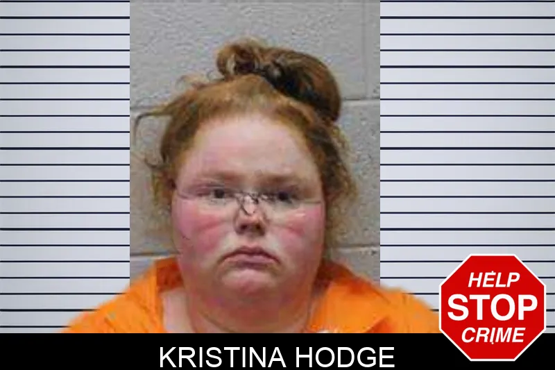 Kristina Hodge Mugshots