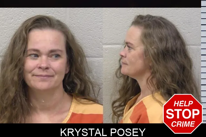 Krystal Posey mugshot
