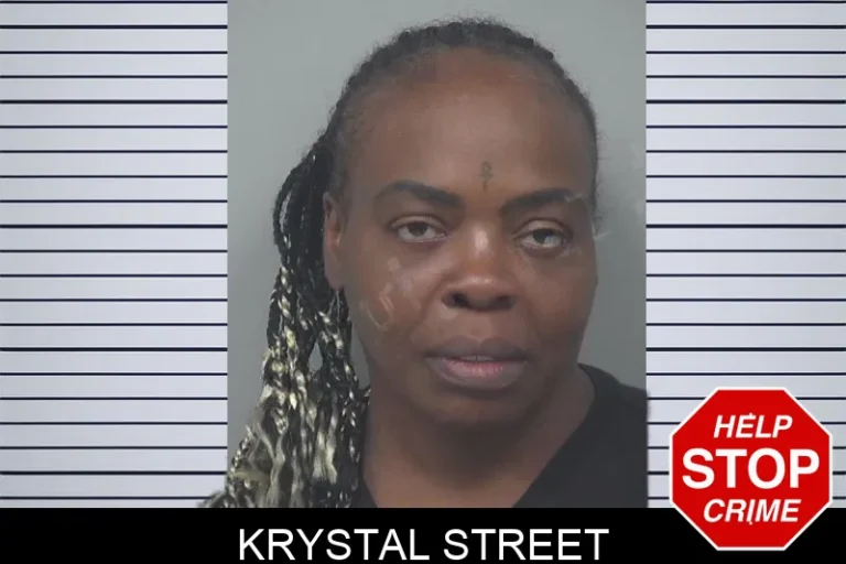 Krystal Street mugshot – Gwinnett County , Georgia Krystal Street