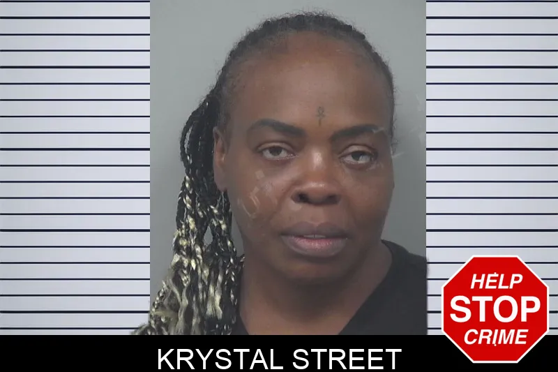 Krystal Street mugshot – Gwinnett County , Georgia Krystal Street mugshot