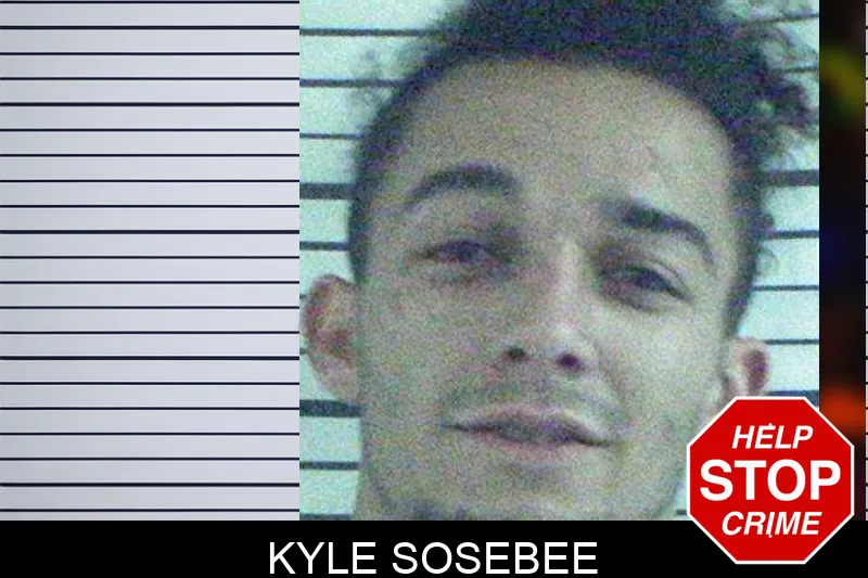 Kyle Sosebee