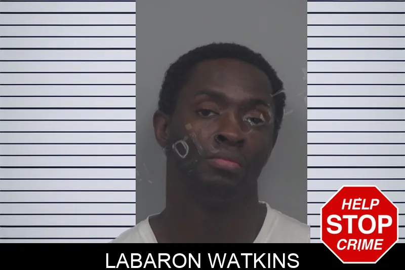 Labaron Watkins Mugshots