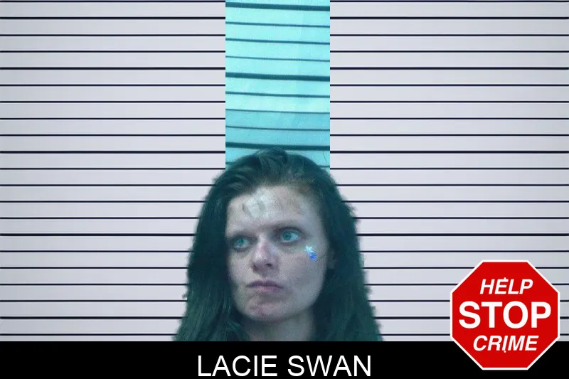 Lacie Swan Mugshots