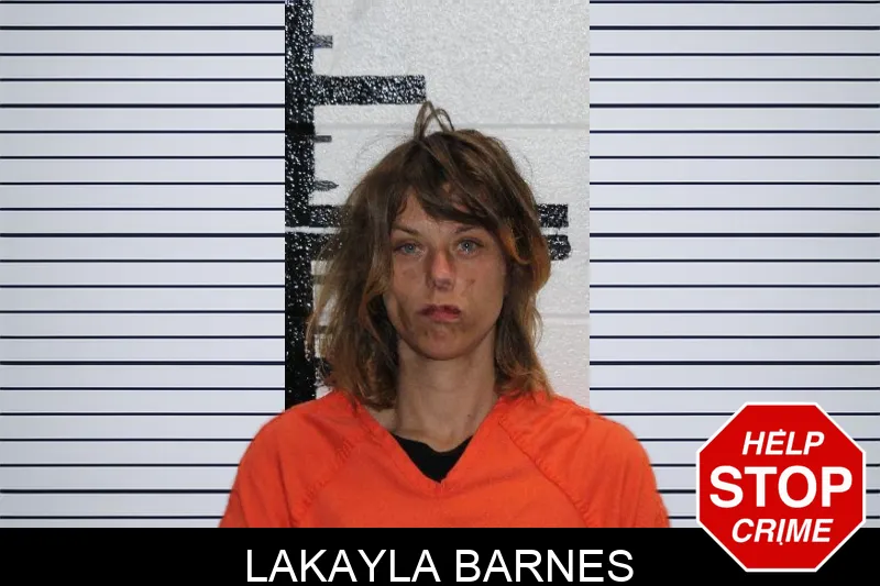 Lakayla Barnes Mugshots