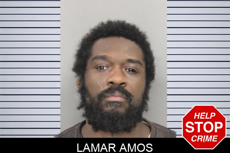 Lamar Amos mugshot – Cobb County , Georgia Lamar Amos mugshot