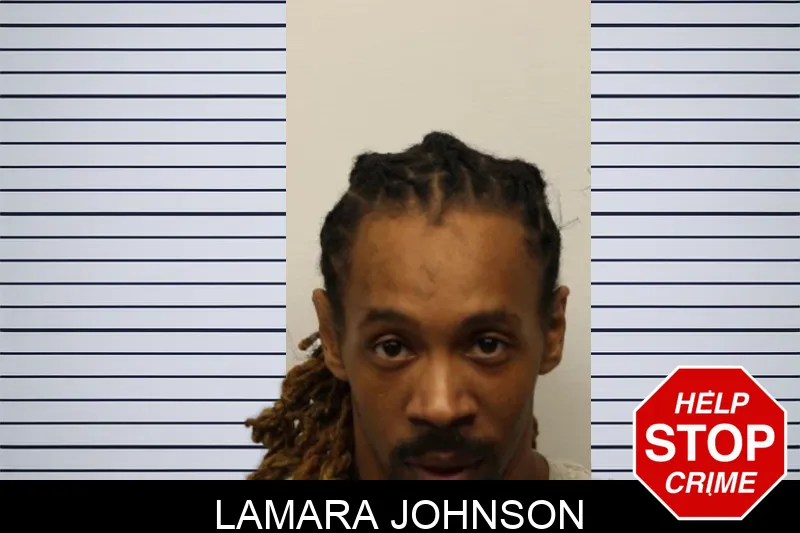 Lamara Johnson mugshot – Chatham County , Georgia Lamara Johnson mugshot
